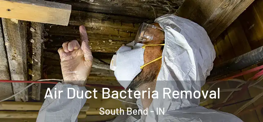 Air Duct Bacteria Removal South Bend - IN
