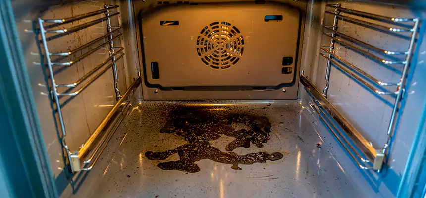 Our Dryer Vent Mold Cleaning Services in South Bend, IN