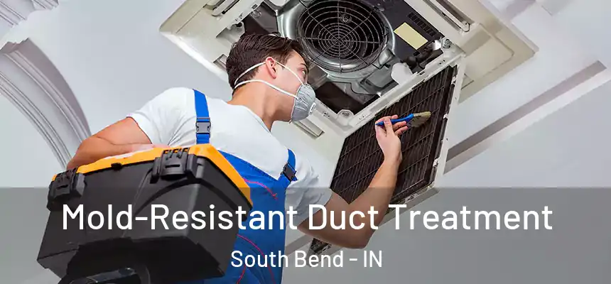  Mold-Resistant Duct Treatment South Bend - IN
