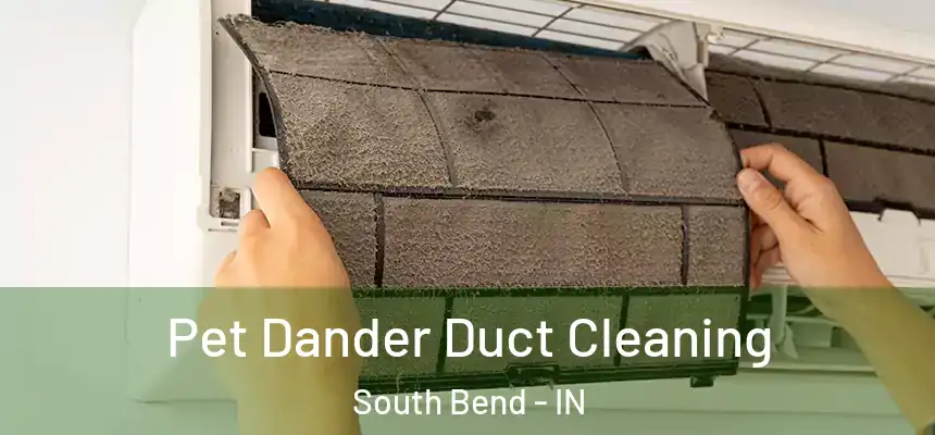 Pet Dander Duct Cleaning South Bend - IN
