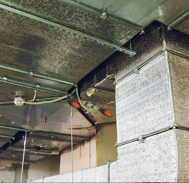 Why Homeowners & Businesses Trust Us in South Bend, IN?