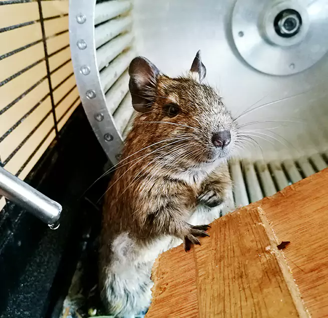 Why Homeowners & Businesses Trust Us South Bend, IN