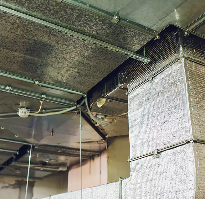 Why Homeowners & Businesses Trust Us in South Bend, IN?